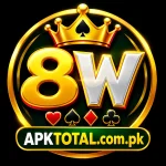 8W Game