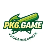 pk6 game